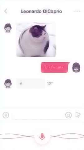 轰炸电话网页版